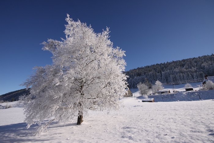 Lac de Joux - 023